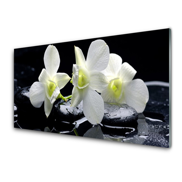 Kitchen Splashback Flower stones floral white black