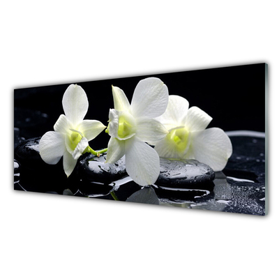 Kitchen Splashback Flower stones floral white black