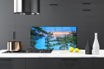 Kitchen Splashback Trees nature green