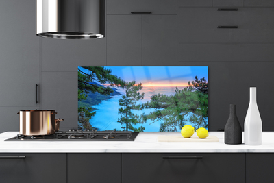 Kitchen Splashback Trees nature green