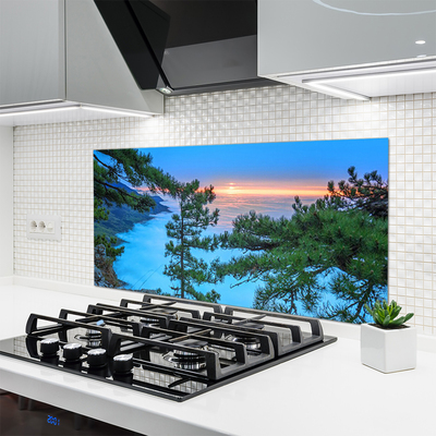 Kitchen Splashback Trees nature green