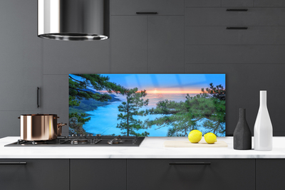 Kitchen Splashback Trees nature green