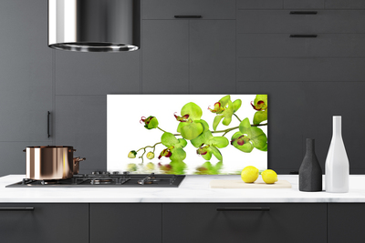 Kitchen Splashback Flowers floral green