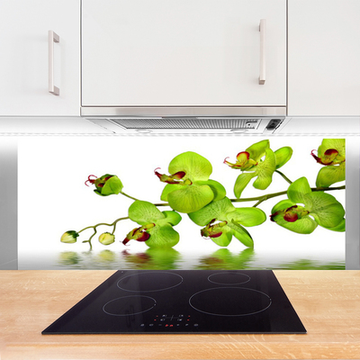 Kitchen Splashback Flowers floral green