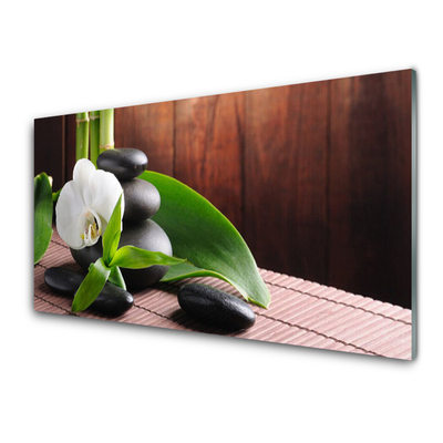 Kitchen Splashback Flower stones leaves floral white black green