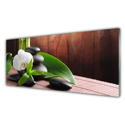 Kitchen Splashback Flower stones leaves floral white black green