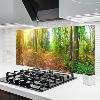 Kitchen Splashback Forest nature brown green