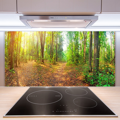 Kitchen Splashback Forest nature brown green