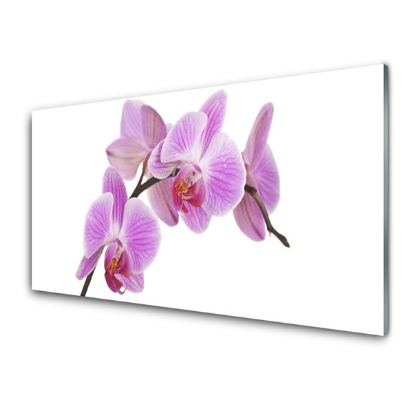 Kitchen Splashback Flowers floral pink