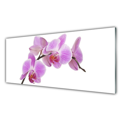 Kitchen Splashback Flowers floral pink