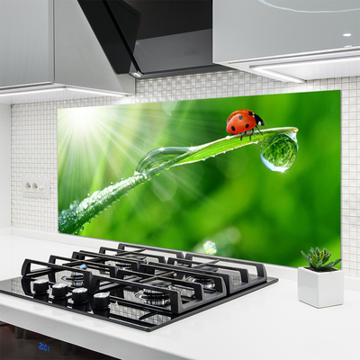 Kitchen Splashback Grass sun beetle nature green white red black