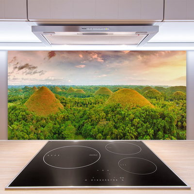 Kitchen Splashback Forest nature green