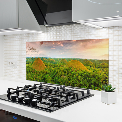 Kitchen Splashback Forest nature green