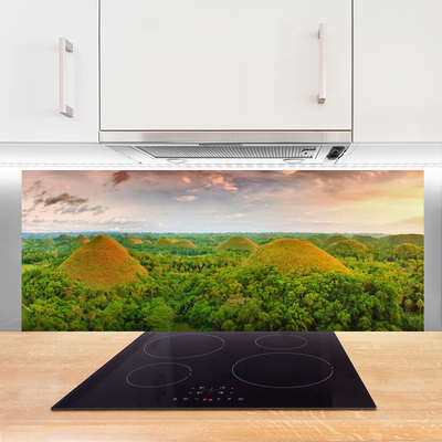 Kitchen Splashback Forest nature green