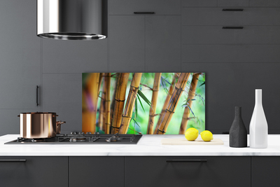 Kitchen Splashback Bamboo nature yellow