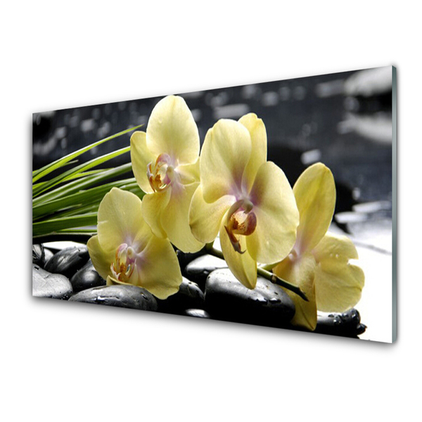 Kitchen Splashback Flowers floral yellow