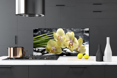 Kitchen Splashback Flowers floral yellow