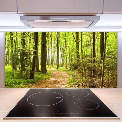 Kitchen Splashback Forest nature brown green