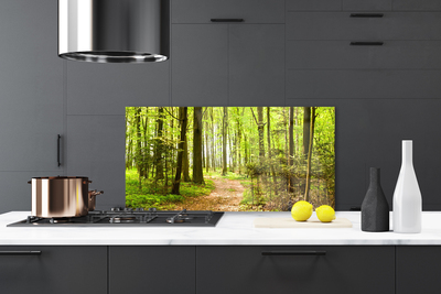 Kitchen Splashback Forest nature brown green