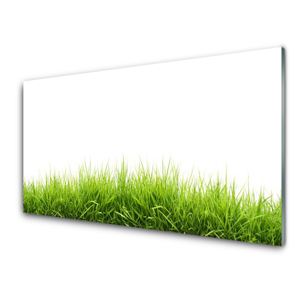 Kitchen Splashback Grass nature green