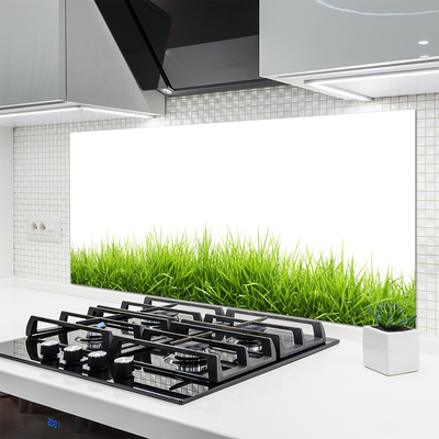 Kitchen Splashback Grass nature green