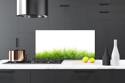 Kitchen Splashback Grass nature green