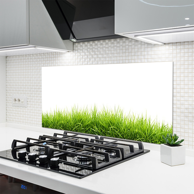 Kitchen Splashback Grass nature green