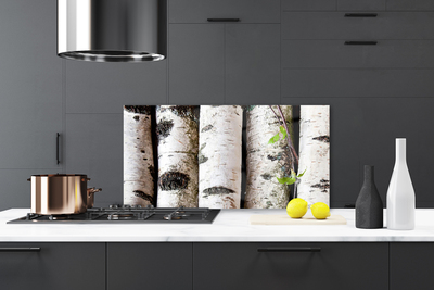 Kitchen Splashback Trees nature white black