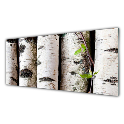 Kitchen Splashback Trees nature white black