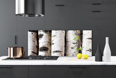 Kitchen Splashback Trees nature white black