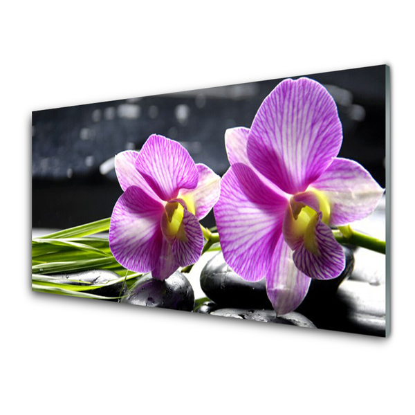 Kitchen Splashback Flowers floral pink