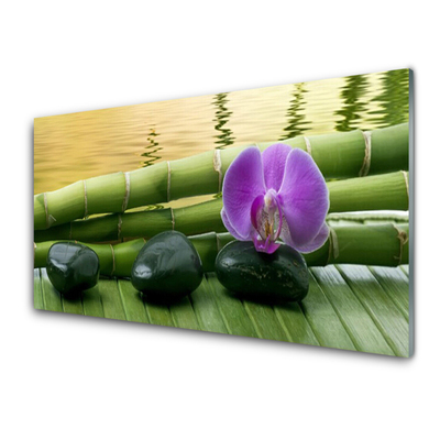 Kitchen Splashback Flower stones bamboo stalks floral pink black green