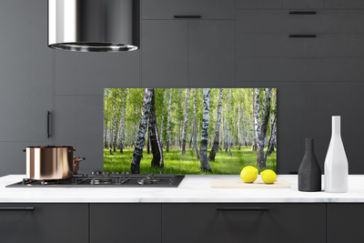 Kitchen Splashback Forest nature black white green