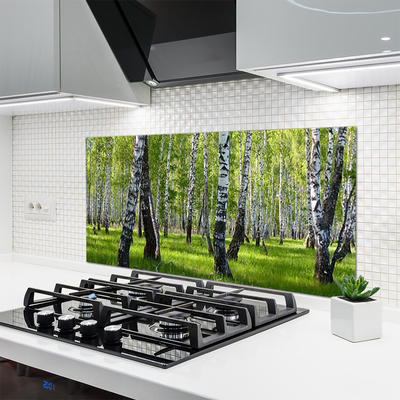 Kitchen Splashback Forest nature black white green