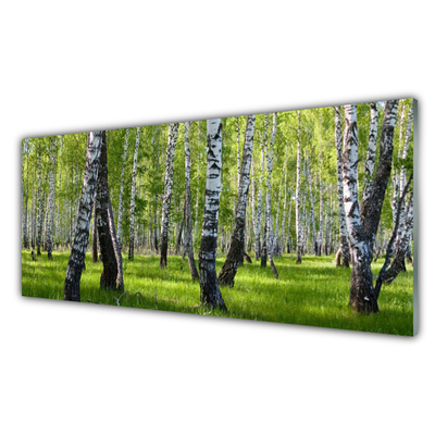 Kitchen Splashback Forest nature black white green