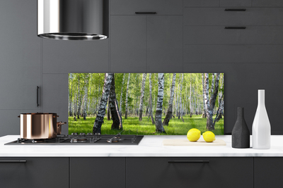 Kitchen Splashback Forest nature black white green