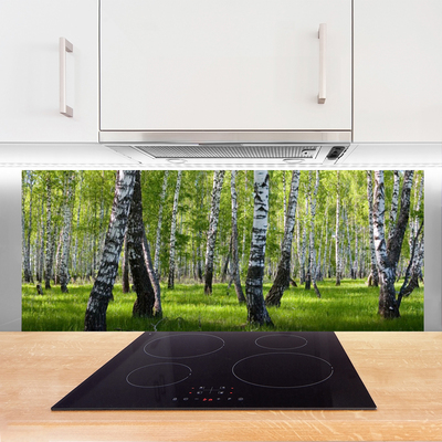 Kitchen Splashback Forest nature black white green