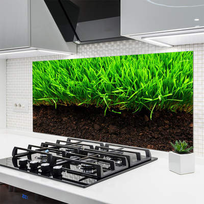 Kitchen Splashback Grass nature green