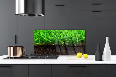 Kitchen Splashback Grass nature green