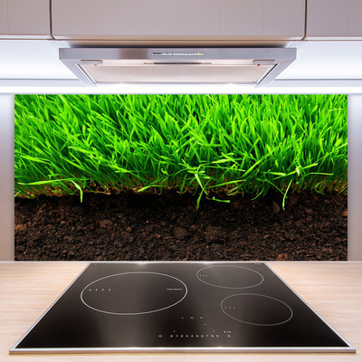 Kitchen Splashback Grass nature green