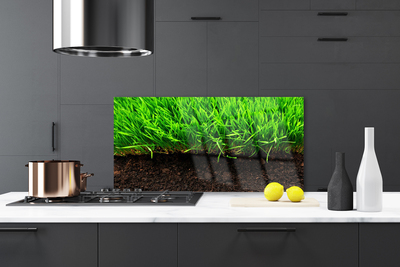 Kitchen Splashback Grass nature green