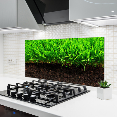 Kitchen Splashback Grass nature green