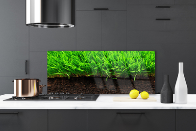 Kitchen Splashback Grass nature green