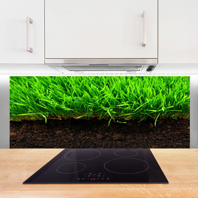 Kitchen Splashback Grass nature green