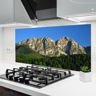 Kitchen Splashback Mountain forest nature grey green