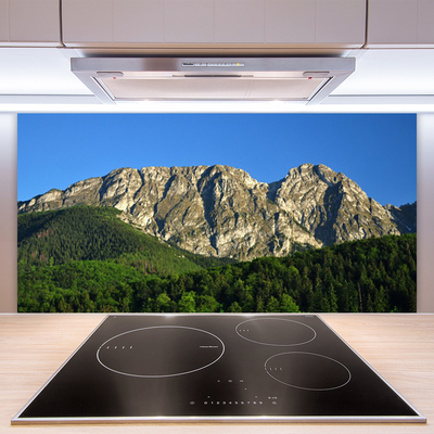 Kitchen Splashback Mountain forest nature grey green