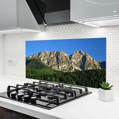 Kitchen Splashback Mountain forest nature grey green