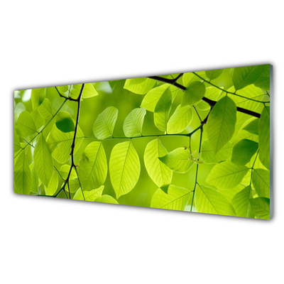 Kitchen Splashback Leaves nature green