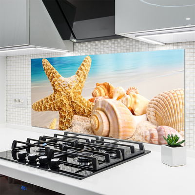 Kitchen Splashback Starfish shells art yellow white