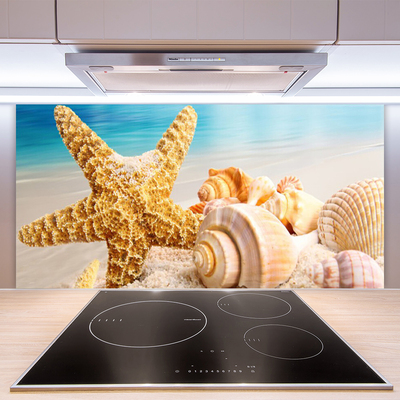 Kitchen Splashback Starfish shells art yellow white